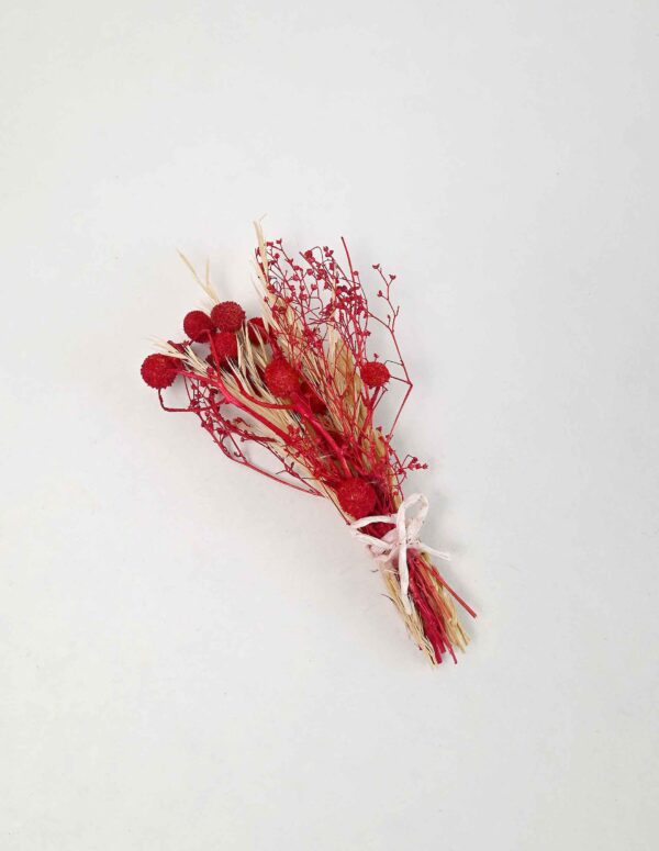 Mini Bouquets- Red branches