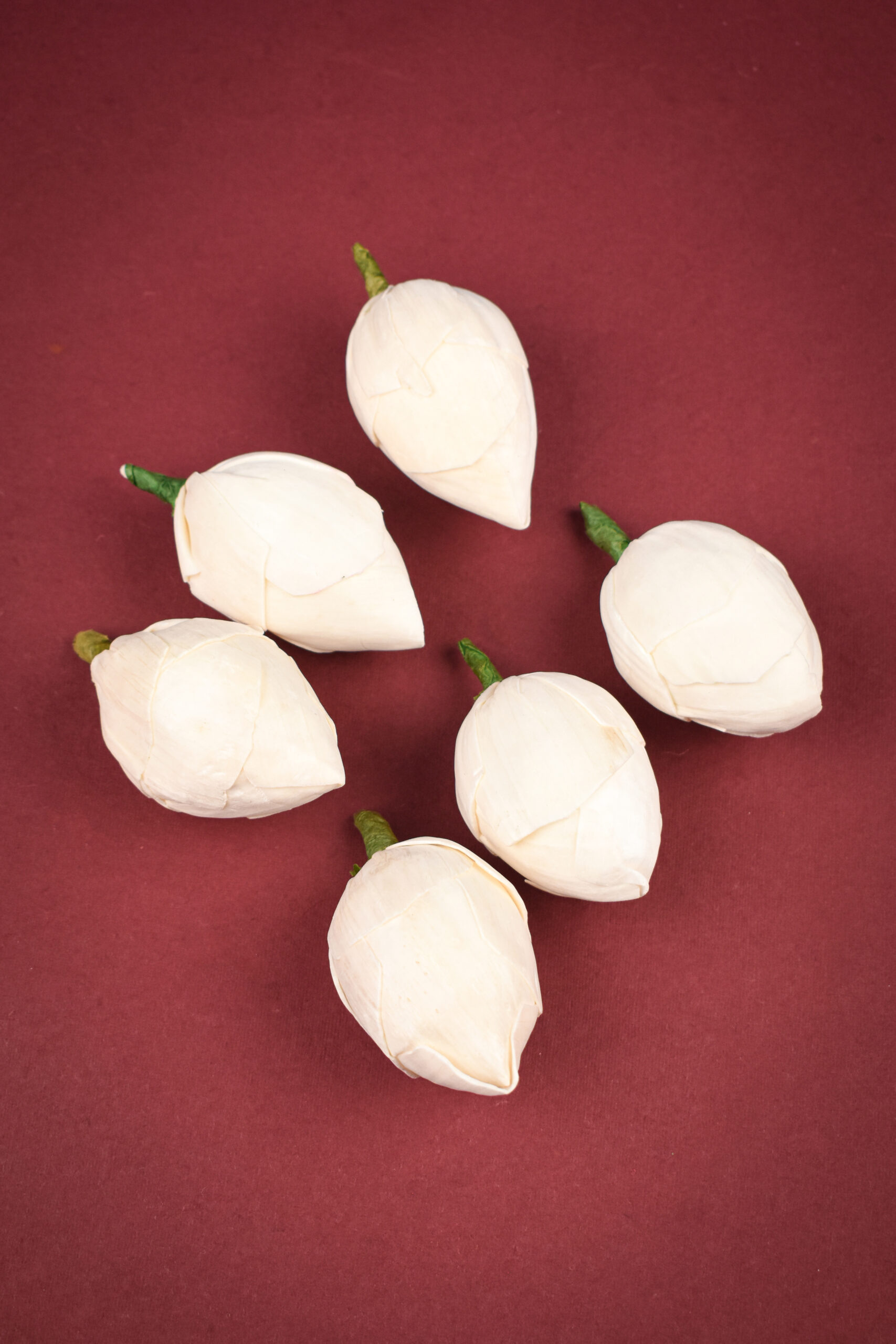 Sola lotus bud white 6n