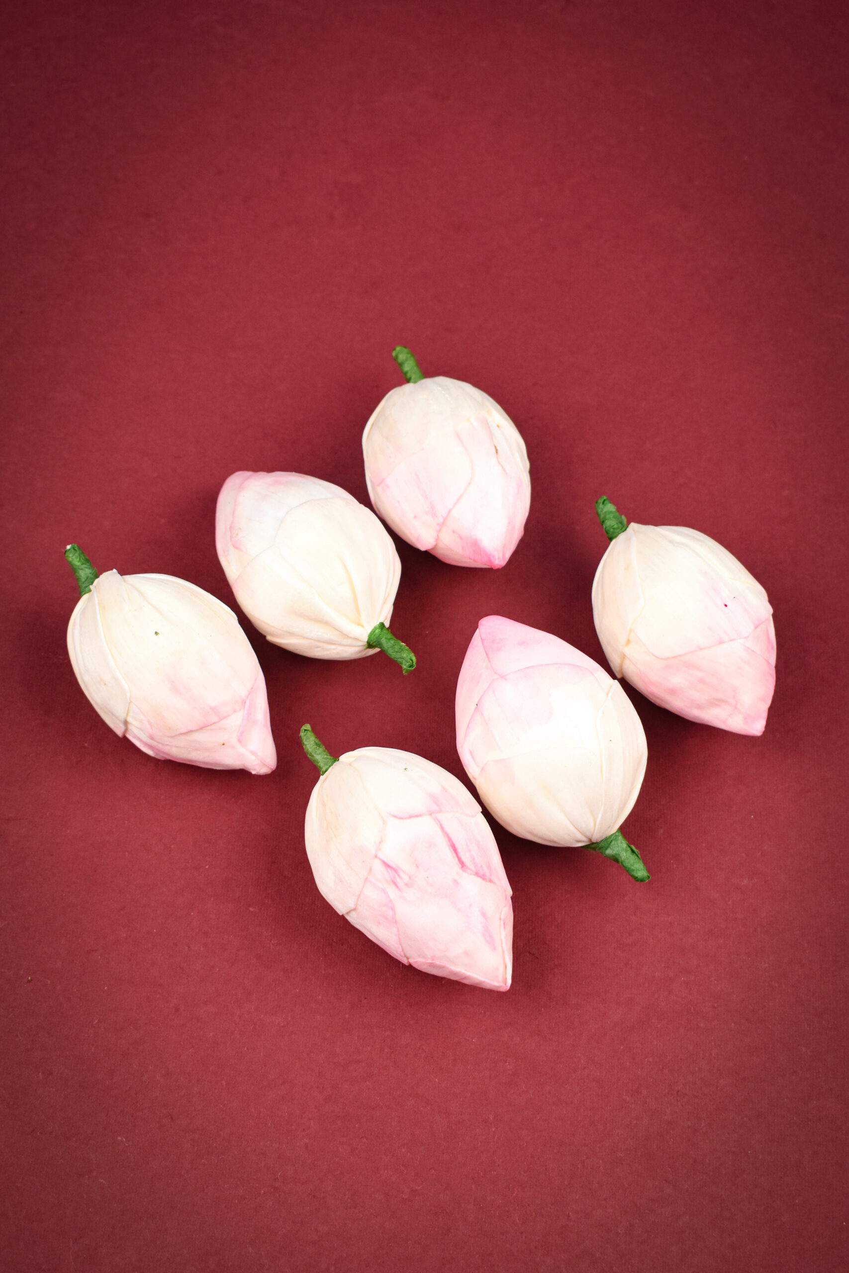 sola lotus bud light pink 6n