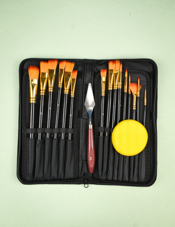 paint brush set 17 pc