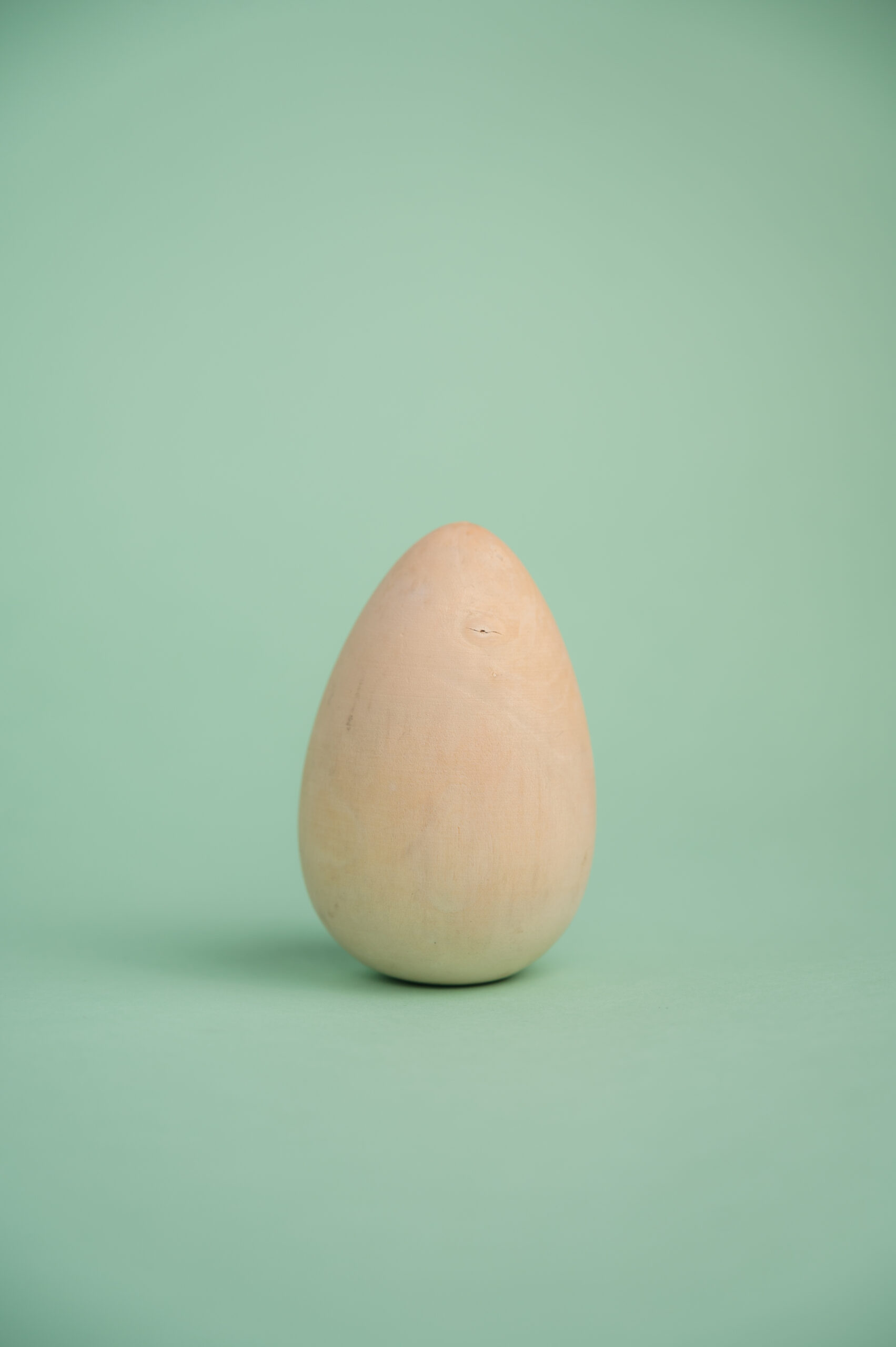 wooden egg 10cm 1N