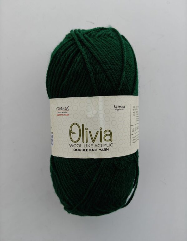 Ganga Olivia Wool-Like Acrylic Double Knit Yarn | DK Weight Knitting and Crochet Yarn for Sweaters, Scarves & Garments (Dark Green, 100g)